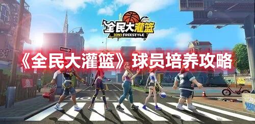 全民大灌篮球员怎么培养 球员培养思路