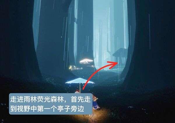 光遇雨林害羞先祖位置在哪 雨林害羞先祖位置分享