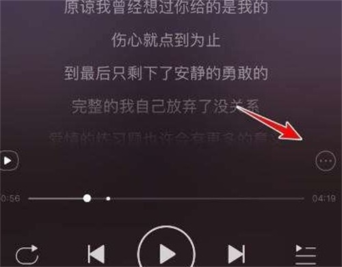 网易云音乐错误歌词怎么修改 纠正歌词方法分享