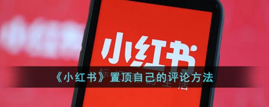 小红书怎么置顶自己的评论 小红书置顶自己的评论方法
