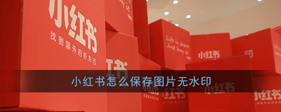 小红书保存无水印图片教程 小红书怎么保存无水印图片