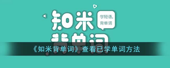 知米背单词怎么查看已学单词 查看已学单词方法