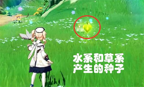 原神绽放反应效果是什么 绽放激化反应介绍