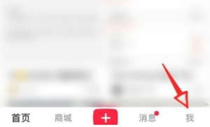 小红书怎么置顶自己的笔记 小红书笔记置顶教程