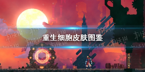 重生细胞蘑菇君装束怎么样 蘑菇君装束介绍