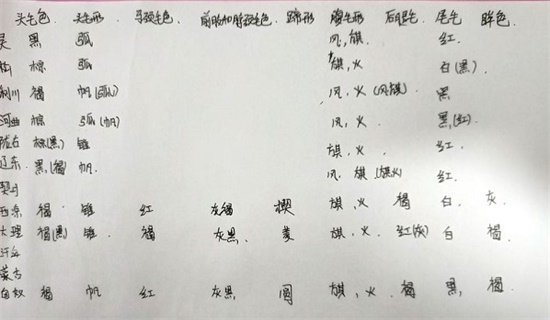 这就是江湖怎么相马 这就是江湖相马攻略