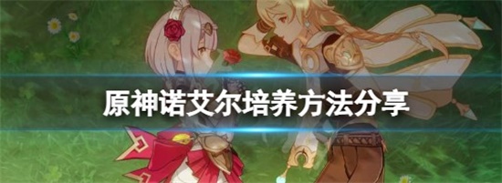 原神女仆诺艾尔怎么培养 诺艾尔培养方法分享