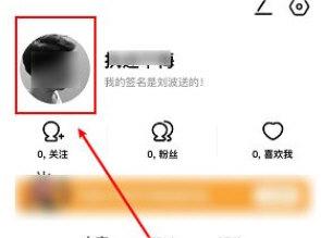 积目怎么换头像 积目更换头像讲解