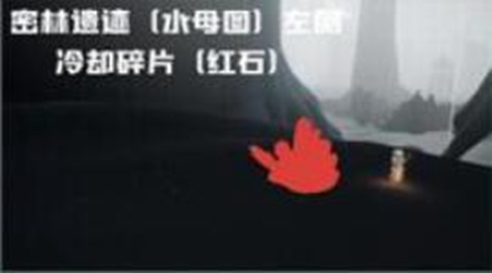 光遇破晓季雨林红石位置在哪 光遇破晓季雨林红石位置介绍
