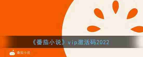 番茄小说vip激活码是什么 番茄小说vip激活码2022