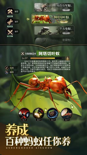小小蚁国24兵营需要多少资源 小小蚁国24兵营需要的资源一览