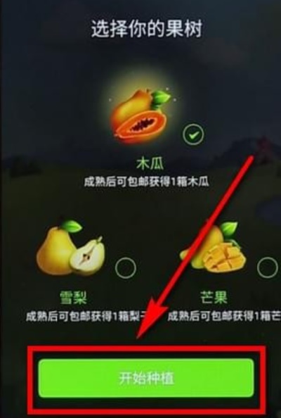 拼多多最新版：用户如何免费获得水果