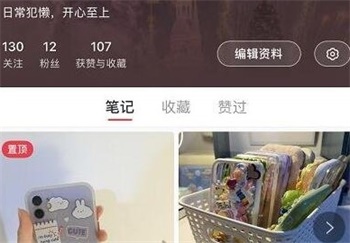 小红书怎么开通薯条推广 小红书薯条推广开通方法