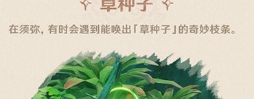 原神须弥草种子有什么用 须弥草种子作用介绍