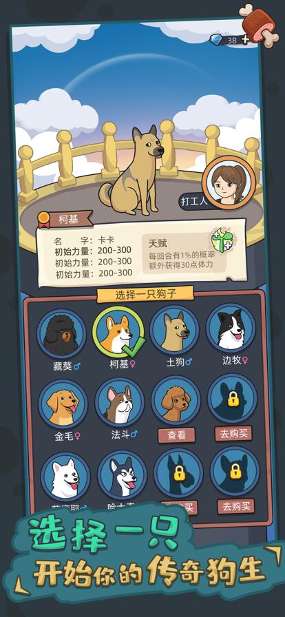 狗生模拟器除疫药粉怎么获得 除疫药粉获取途径全分享