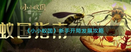 小小蚁国新手开局怎么玩 新手开局发展攻略