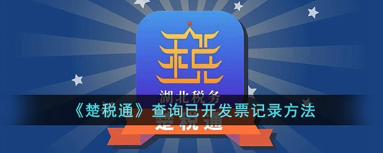 楚税通怎么看之前开的发票记录 查询已开发票记录方法