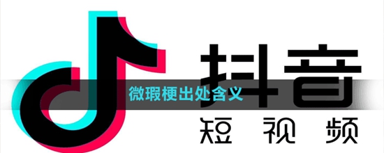 抖音上微瑕是什么梗 抖音上微瑕全瑕含义介绍