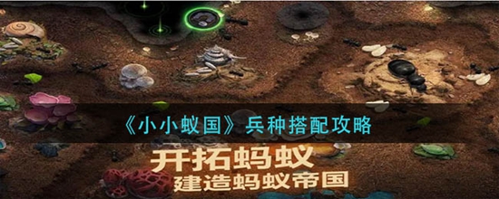 小小蚁国兵种怎么搭配 兵种搭配攻略
