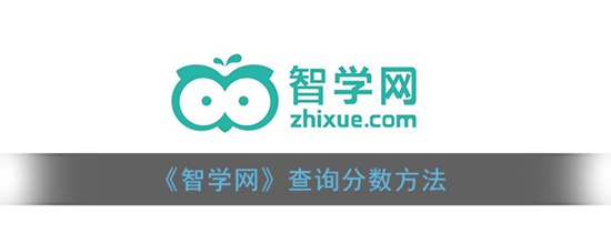 智学网怎么查看分 查询分数方法