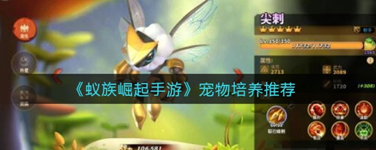 蚁族崛起宠物培养哪些比较好 宠物培养推荐大全