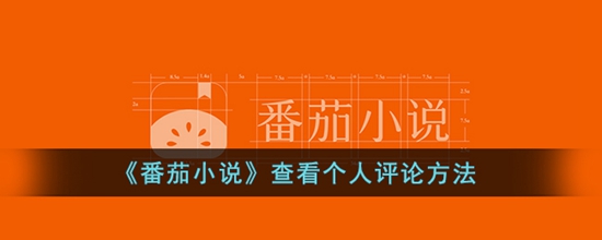 番茄小说怎么查看自己的评论 查看个人评论方法