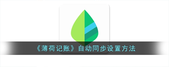 薄荷记账怎么自动同步 自动同步设置方法