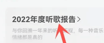 网易云音乐年度报告怎么看2022 年度报告查询方式分享