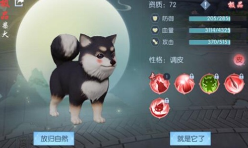 浮生为卿歌怎么获得宠物 浮生为卿歌宠物获取教程