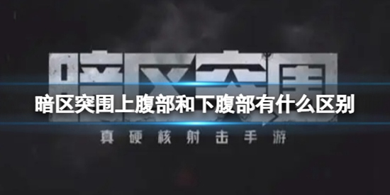 暗区突围上腹部和下腹部有什么区别 上腹部下腹部介绍