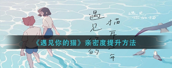 遇见你的猫亲密度怎么提升 亲密度提升方法