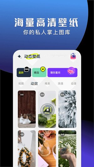 哪款壁纸软件可以免费使用各种动态壁纸 动态壁纸大全app亮点一览