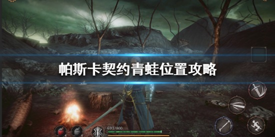 帕斯卡契约青蛙位置在哪里 青蛙位置攻略