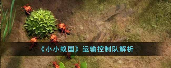 小小蚁国运输控制队怎么样 小小蚁国运输控制队解析